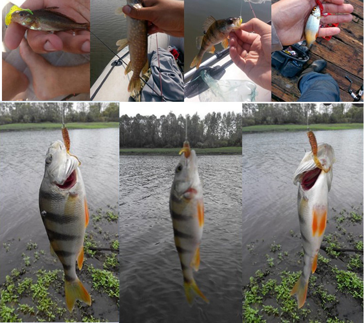 JYJ 5pcs/bag 1g jig hook with  - Fishing Lure Soft Plastic ulasan dan harga